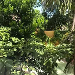 Quinta Salamandra