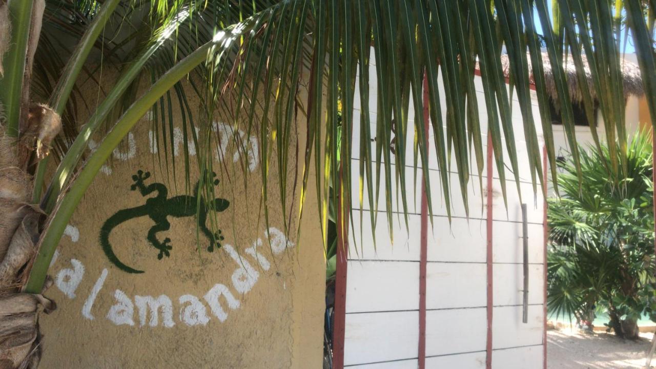 Quinta Salamandra *