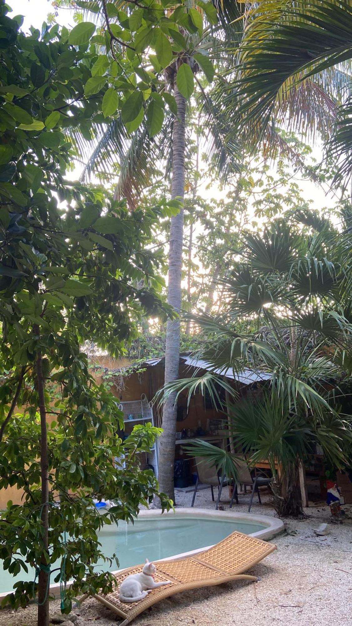 Quinta Salamandra Pensión Playa del Carmen