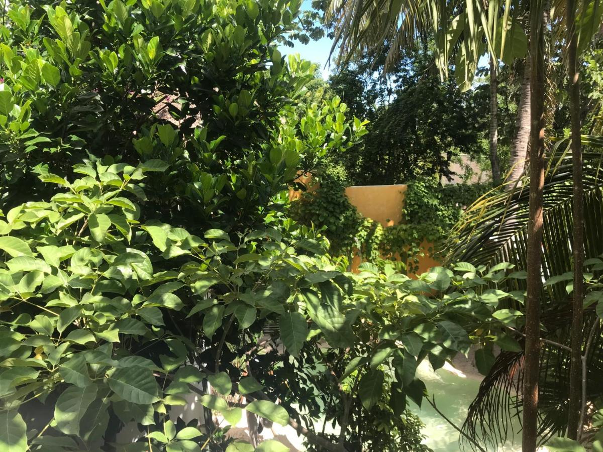 Quinta Salamandra *